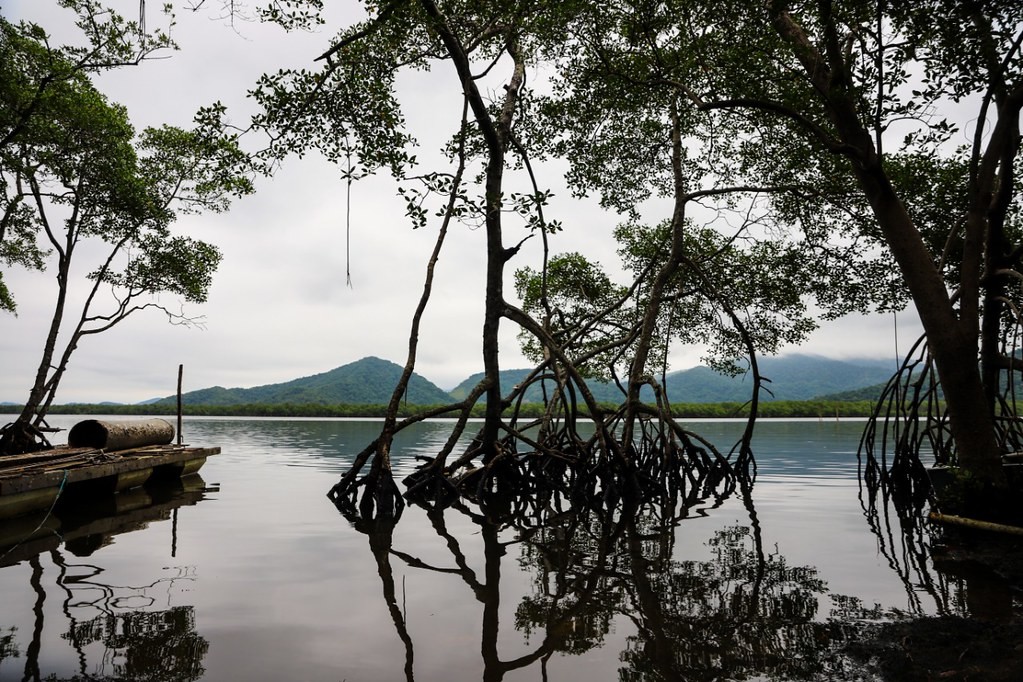 Guarujá analisa possível taxa de preservação ambiental para entrada de turistas